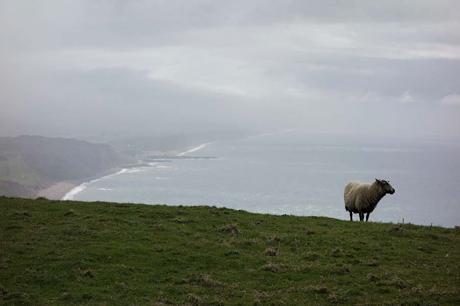 konczak, photography, chideock, landscape