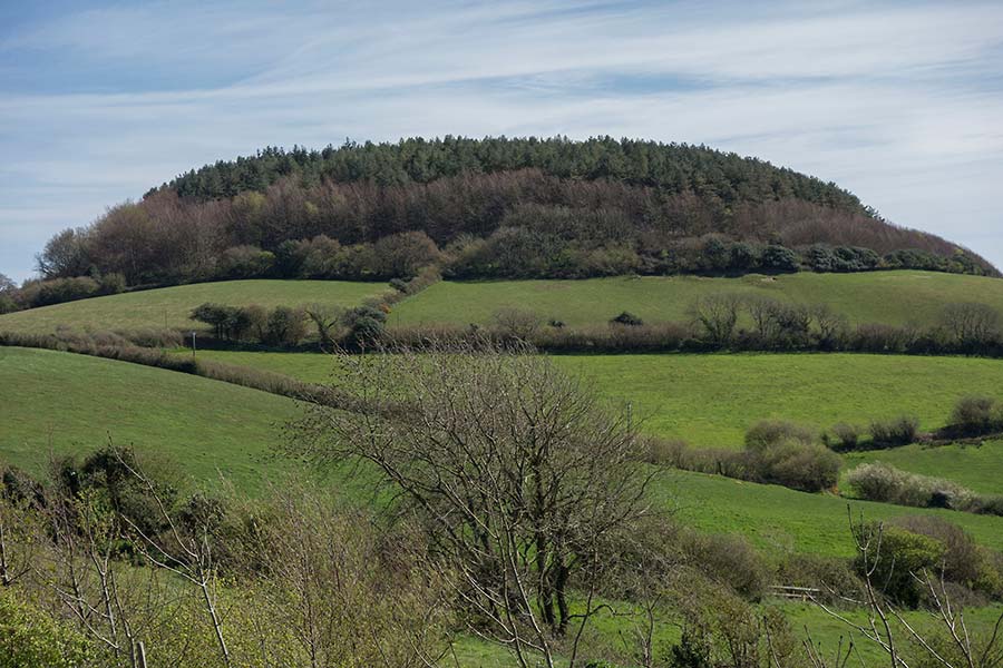 konczak, photography, chideock, landscape