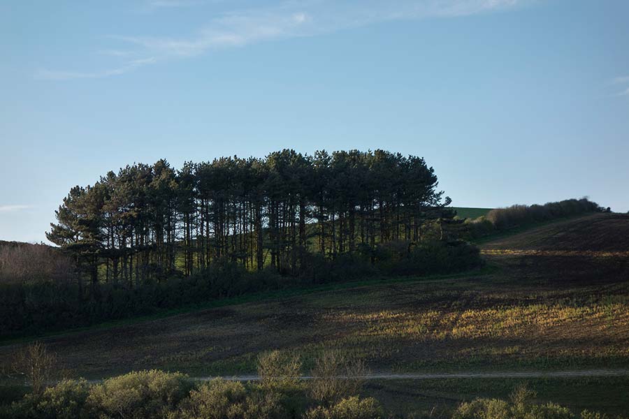konczak, photography, chideock, landscape