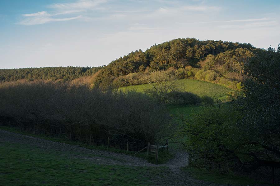 konczak, photography, chideock, landscape