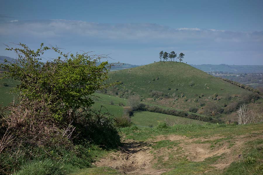 konczak, photography, chideock, landscape