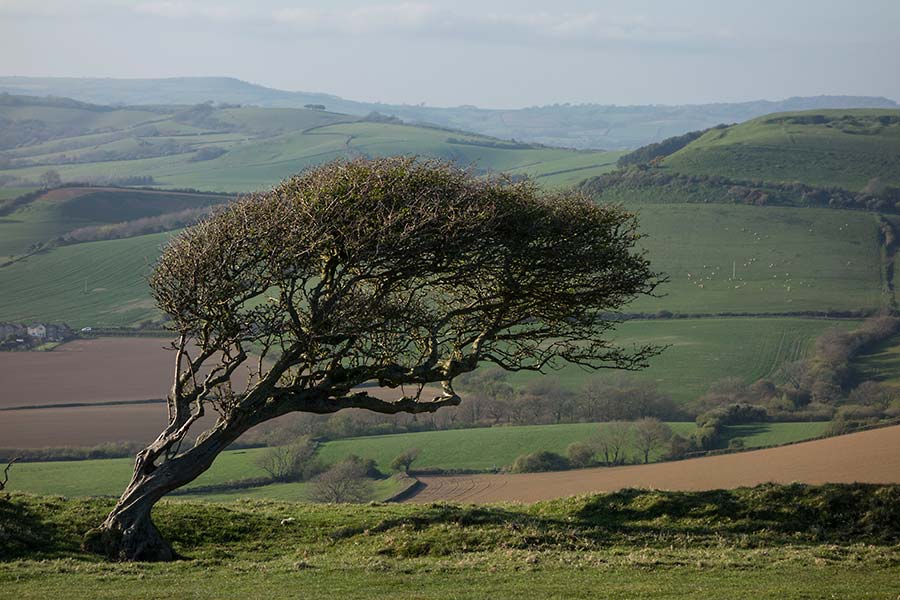 konczak, photography, chideock, landscape