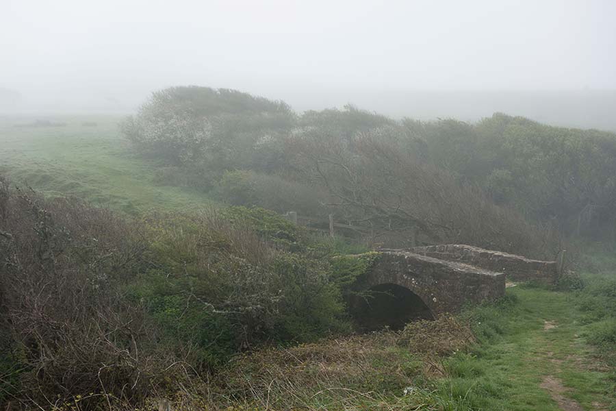 konczak, photography, chideock, landscape