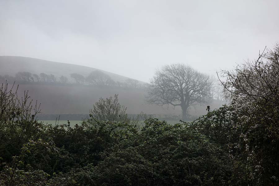 konczak, photography, chideock, landscape