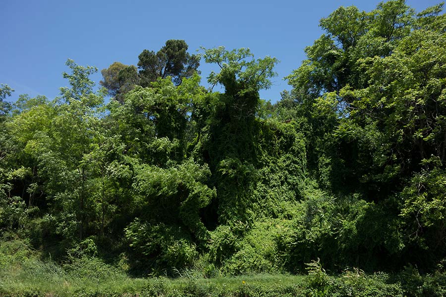 konczak, photography, carcassonne, france