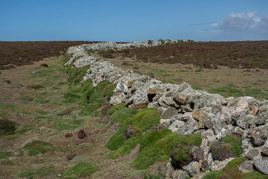 konczak, photography, pembrokshire, wales, st. davids