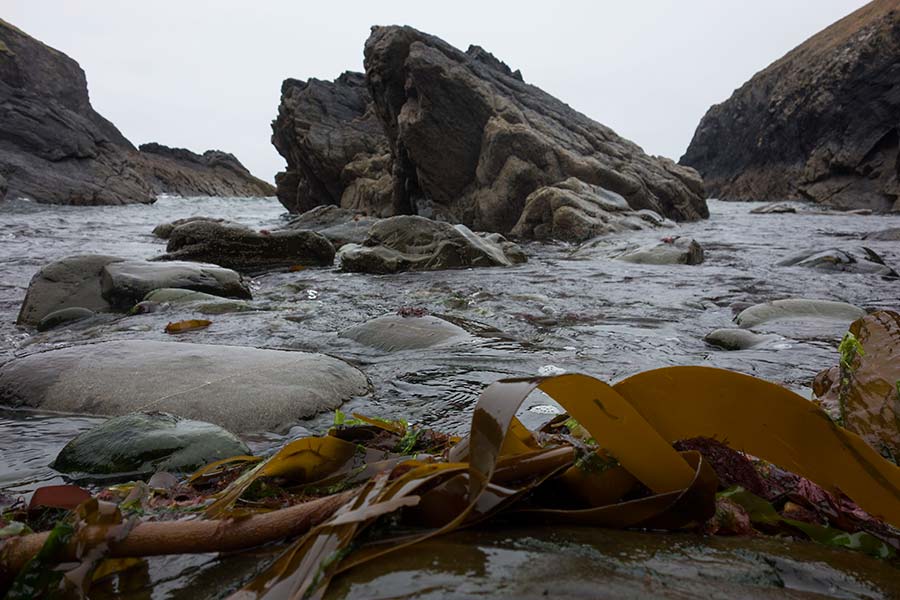 konczak, photography, pembrokshire, wales, st. davids