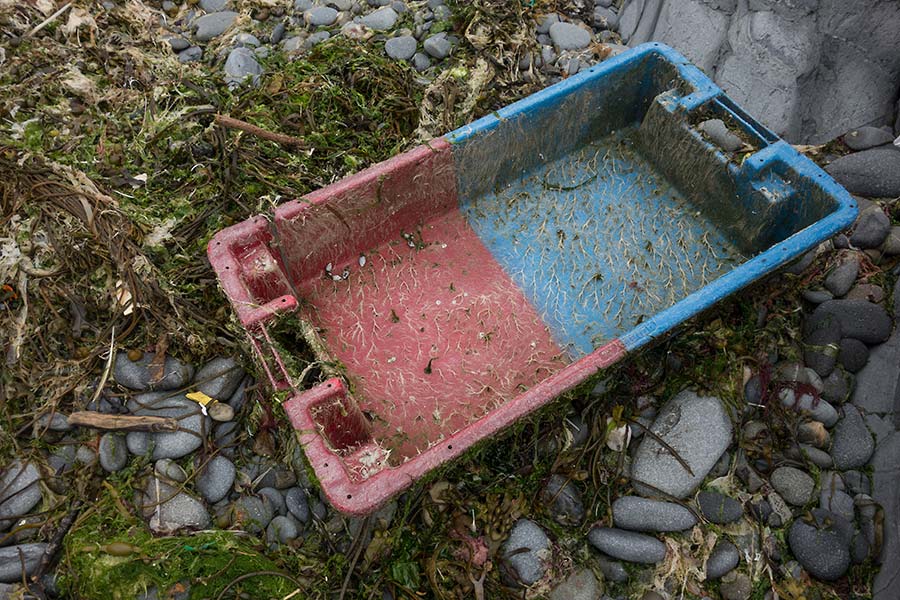 konczak, photography, pembrokshire, wales, st. davids