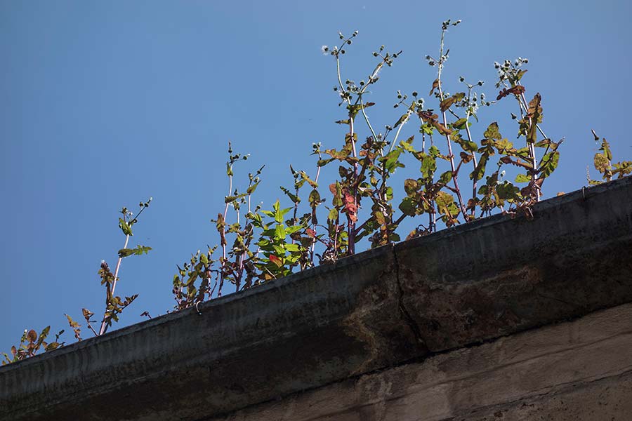 julian, konczak, photography, london, awaiting development, photoblog