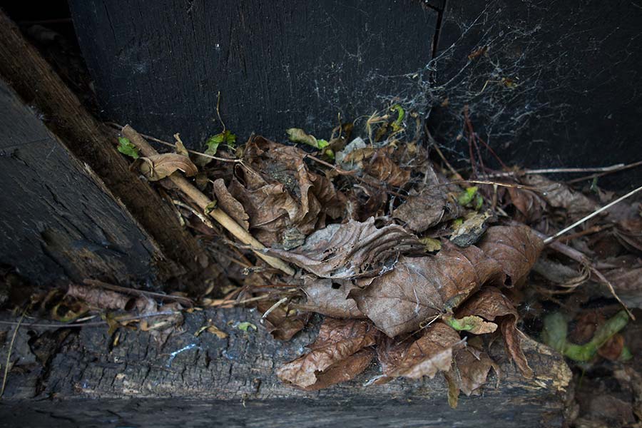 julian, konczak, photography, london, awaiting development, photoblog