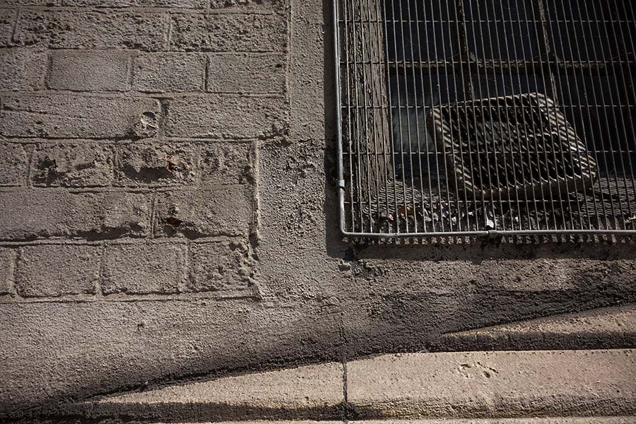 julian, konczak, photography, london, awaiting development, photoblog