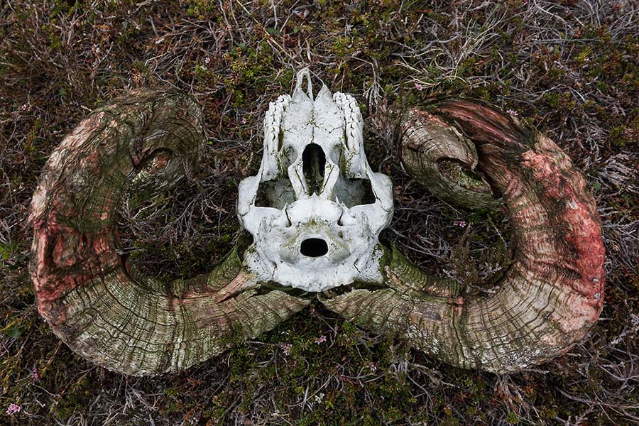 julian, konczak, photography, iceland, lavaland, photoblog