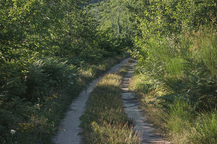 julian, konczak, photography, into the valley, france valley d’orb, Upper Languedoc, orb valley
