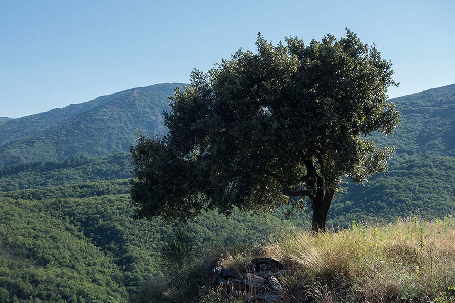 julian, konczak, photography, into the valley, france valley d’orb, Upper Languedoc, orb valley