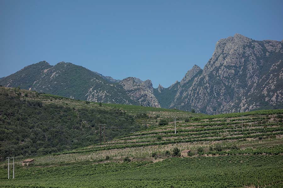 julian, konczak, photography, into the valley, france valley d’orb, Upper Languedoc, orb valley