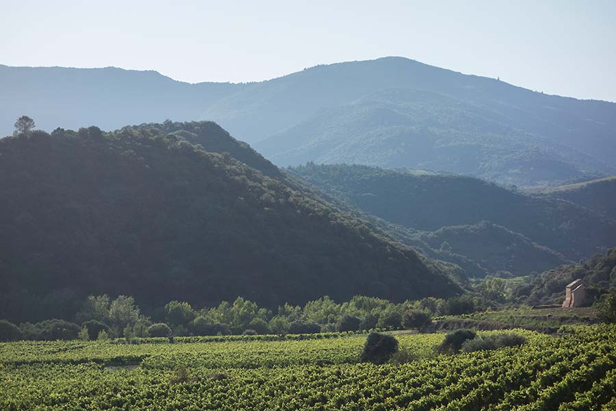 julian, konczak, photography, into the valley, france valley d’orb, Upper Languedoc, orb valley