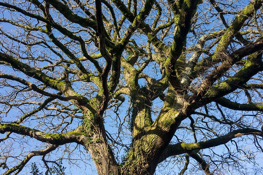 julian, konczak, photography, approaching the moor, dartmoor, devon
