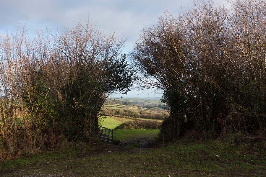 julian, konczak, photography, approaching the moor, dartmoor, devon