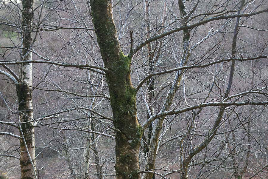 julian, konczak, photography, approaching the moor, dartmoor, devon