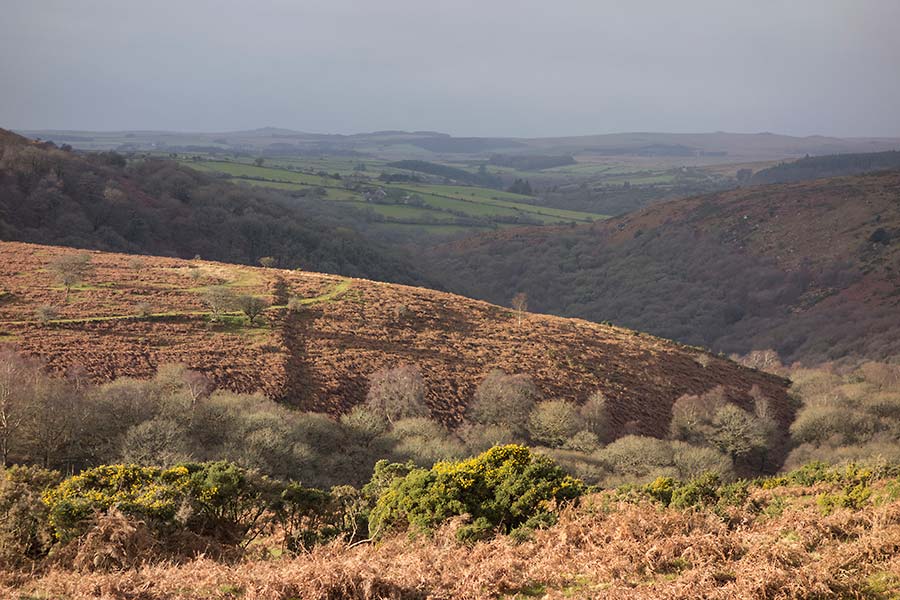 julian, konczak, photography, approaching the moor, dartmoor, devon