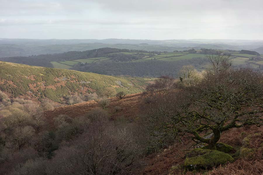 julian, konczak, photography, approaching the moor, dartmoor, devon
