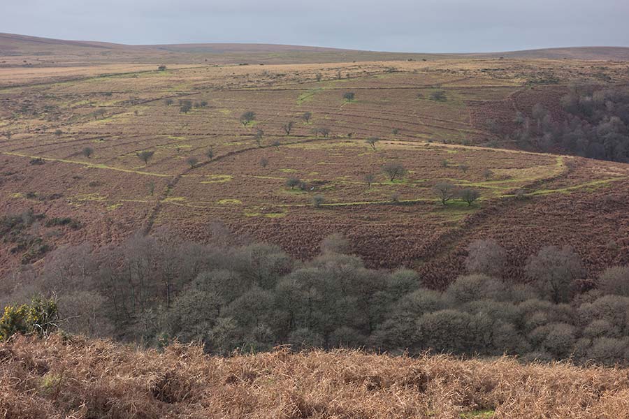 julian, konczak, photography, approaching the moor, dartmoor, devon
