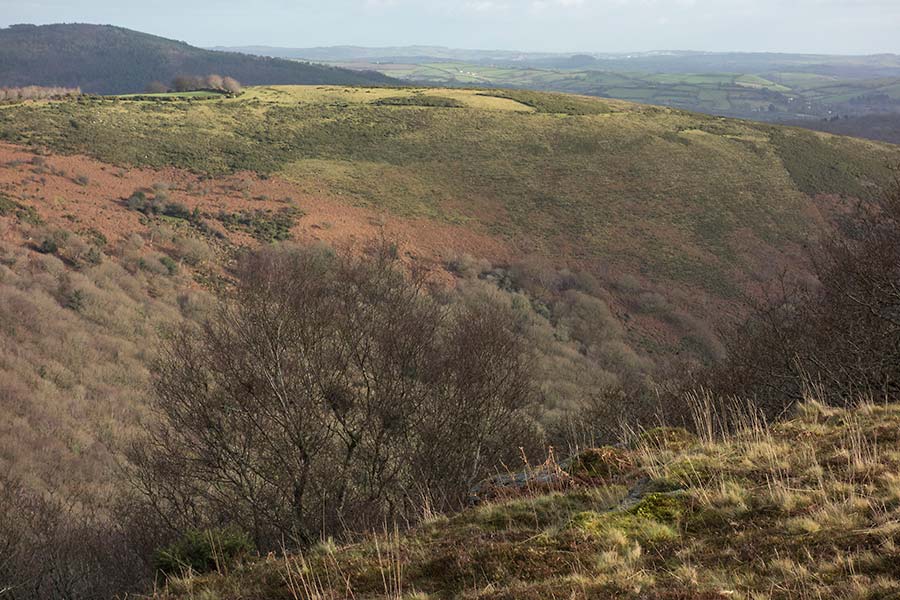 julian, konczak, photography, approaching the moor, dartmoor, devon