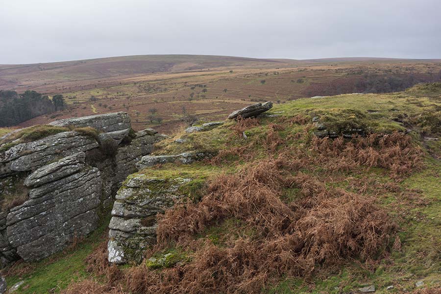 julian, konczak, photography, approaching the moor, dartmoor, devon