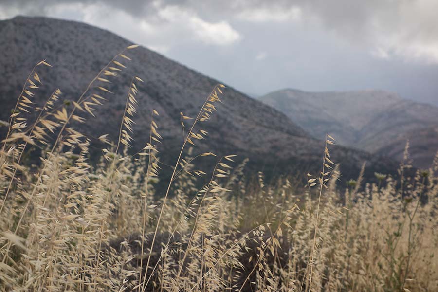 julian, konczak, photography, naxos, geece, greek island, path of the gods