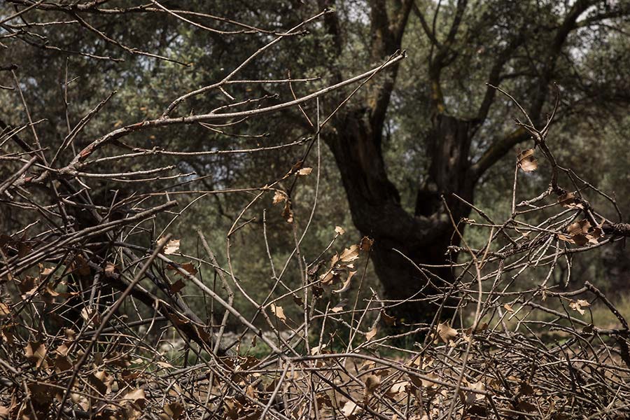 julian, konczak, photography, naxos, geece, greek island, path of the gods