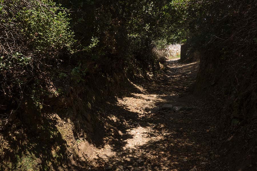 julian, konczak, photography, naxos, geece, greek island, path of the gods