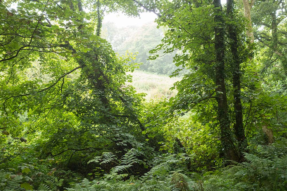 julian, konczak, photography, cornwall, coast path, west penwith