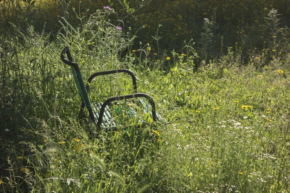 julian, konczak, photography, igreece, corfu, nature