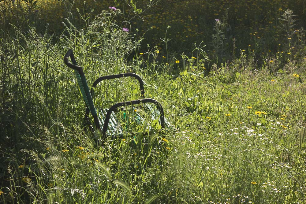 julian, konczak, photography, igreece, corfu, nature