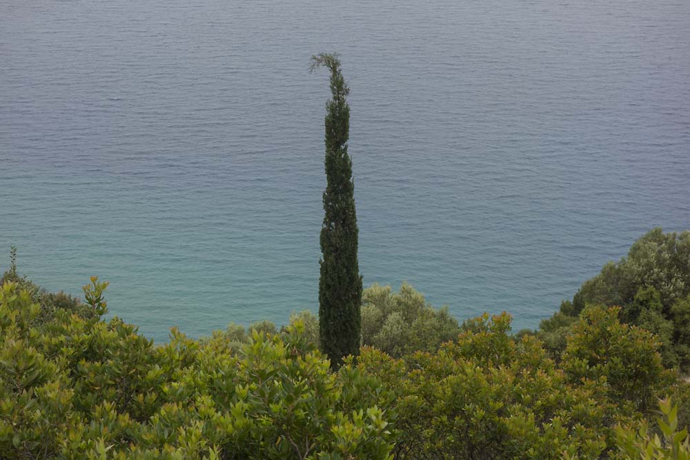 julian, konczak, photography, igreece, corfu, nature