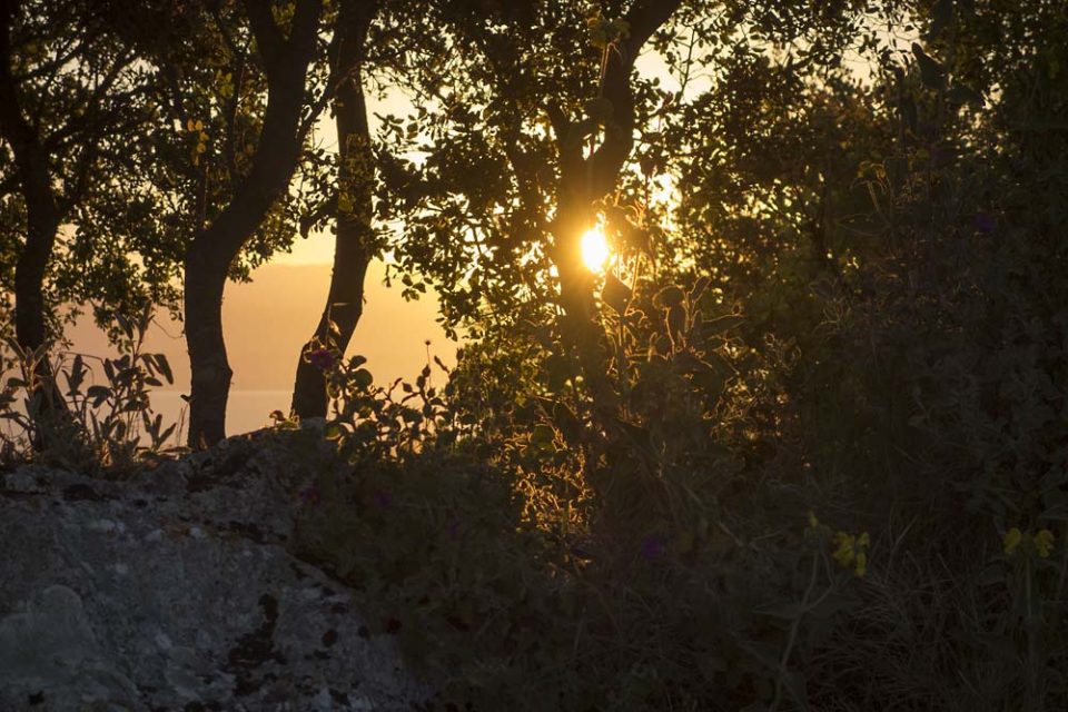 julian, konczak, photography, igreece, corfu, nature