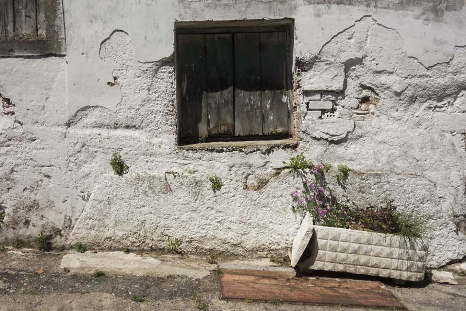 julian, konczak, photography, igreece, corfu, nature