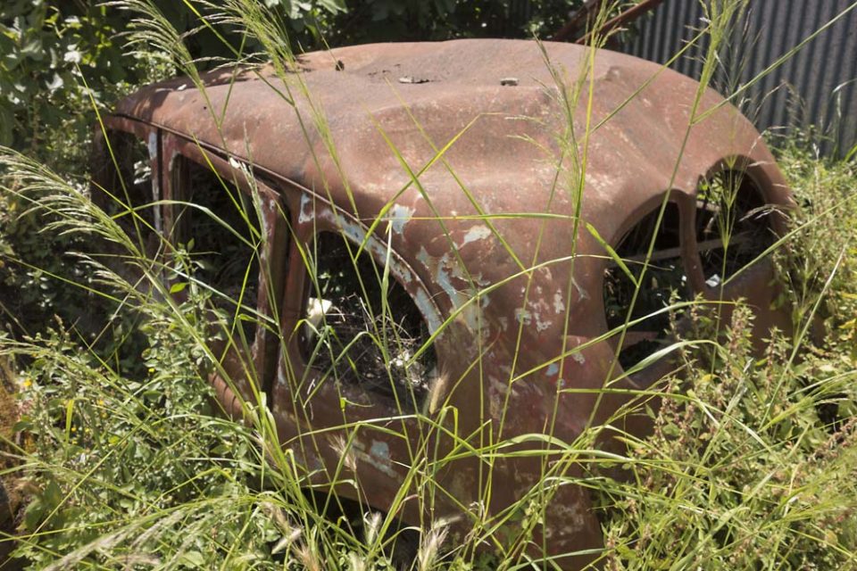 julian, konczak, photography, igreece, corfu, nature