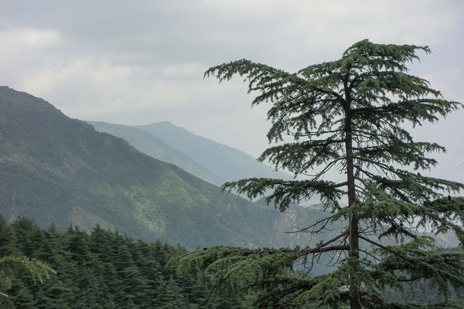 julian, konczak, photography, himalaya, india