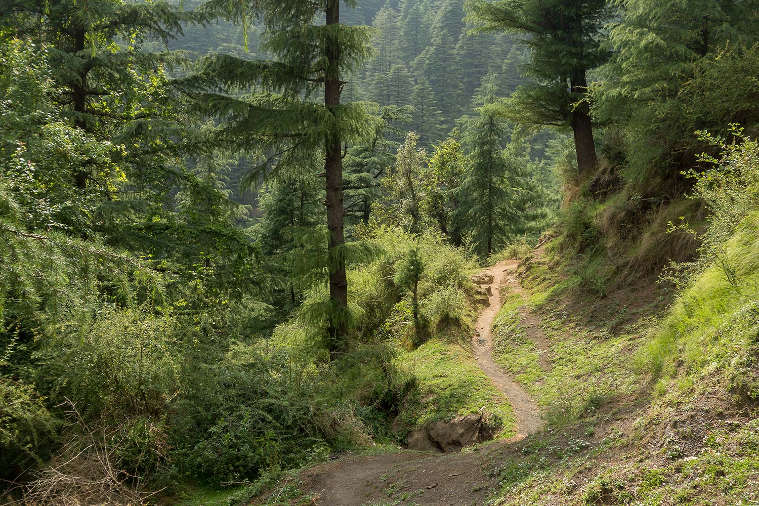 julian, konczak, photography, himalaya, india
