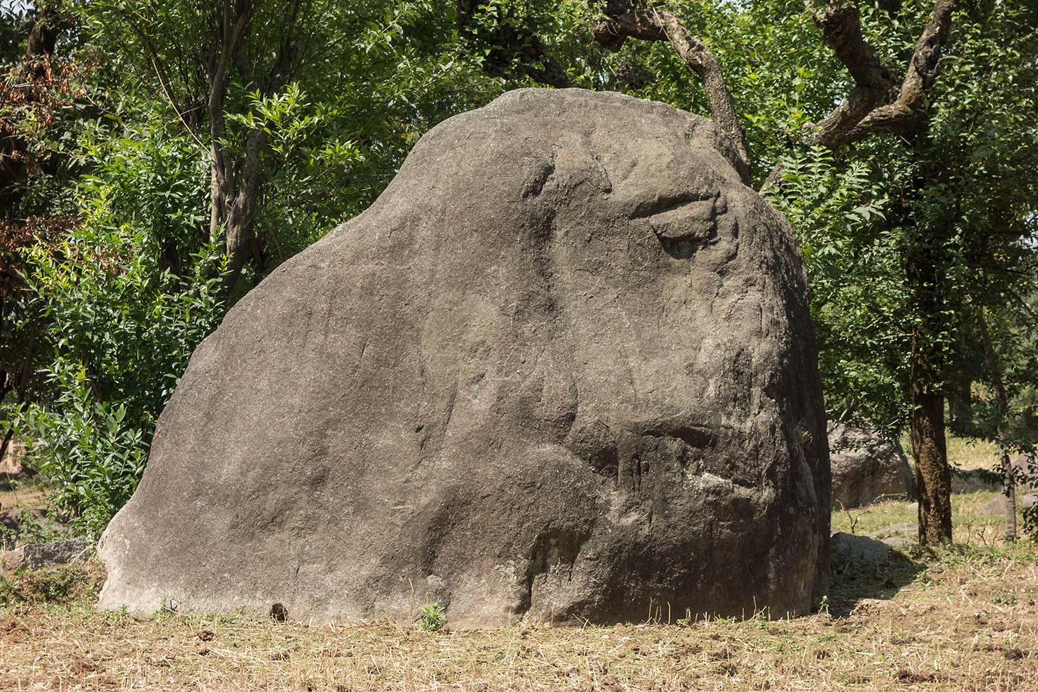 julian, konczak, photography, himalaya, india