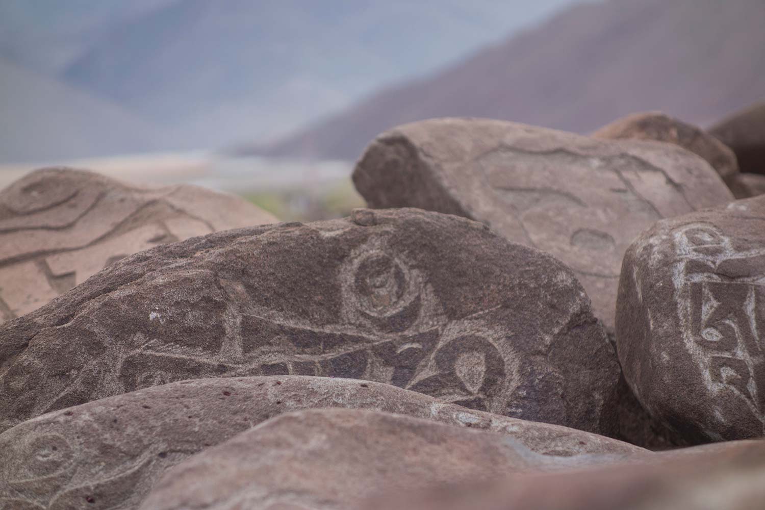 julian, konczak, photography, himalaya, india