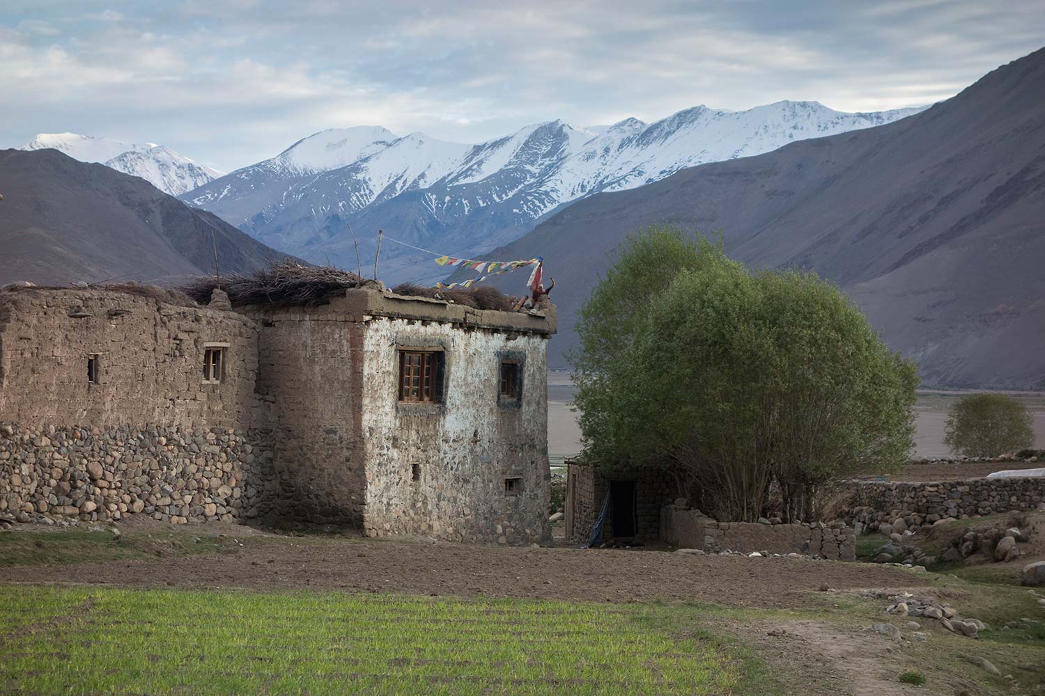 julian, konczak, photography, himalaya, india
