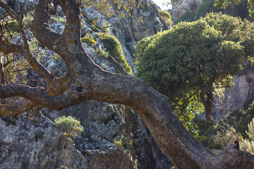 julian, konczak, photography, crete, the pursuit of paradise
