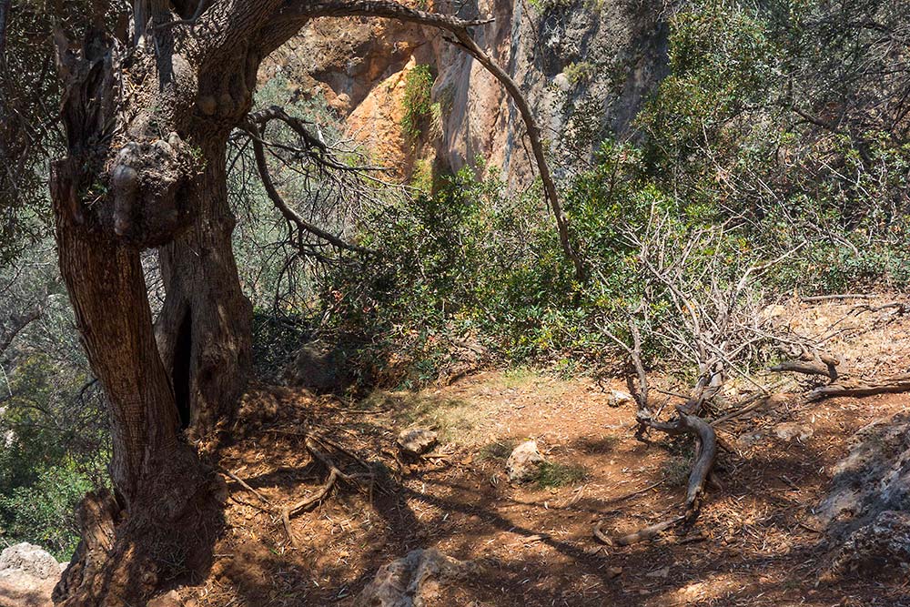 julian, konczak, photography, crete, the pursuit of paradise