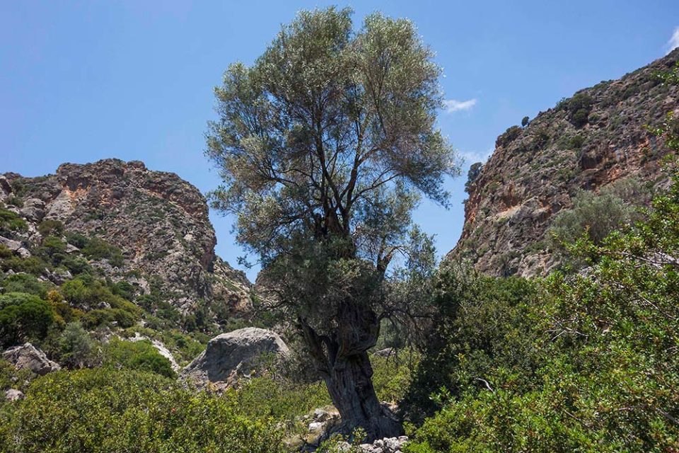 julian, konczak, photography, crete, the pursuit of paradise