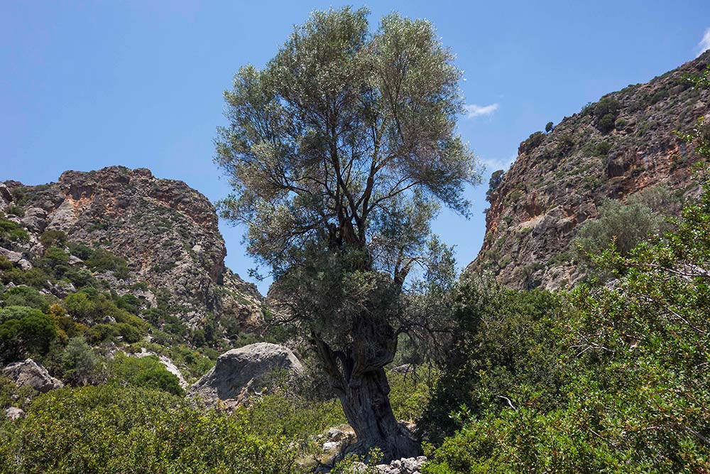 julian, konczak, photography, crete, the pursuit of paradise