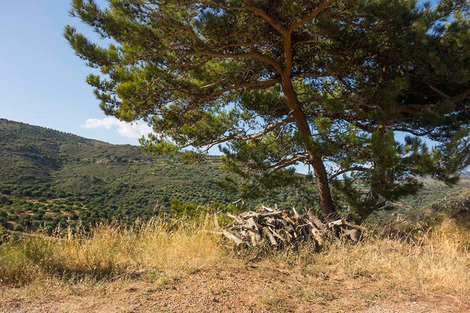 julian, konczak, photography, crete, the pursuit of paradise