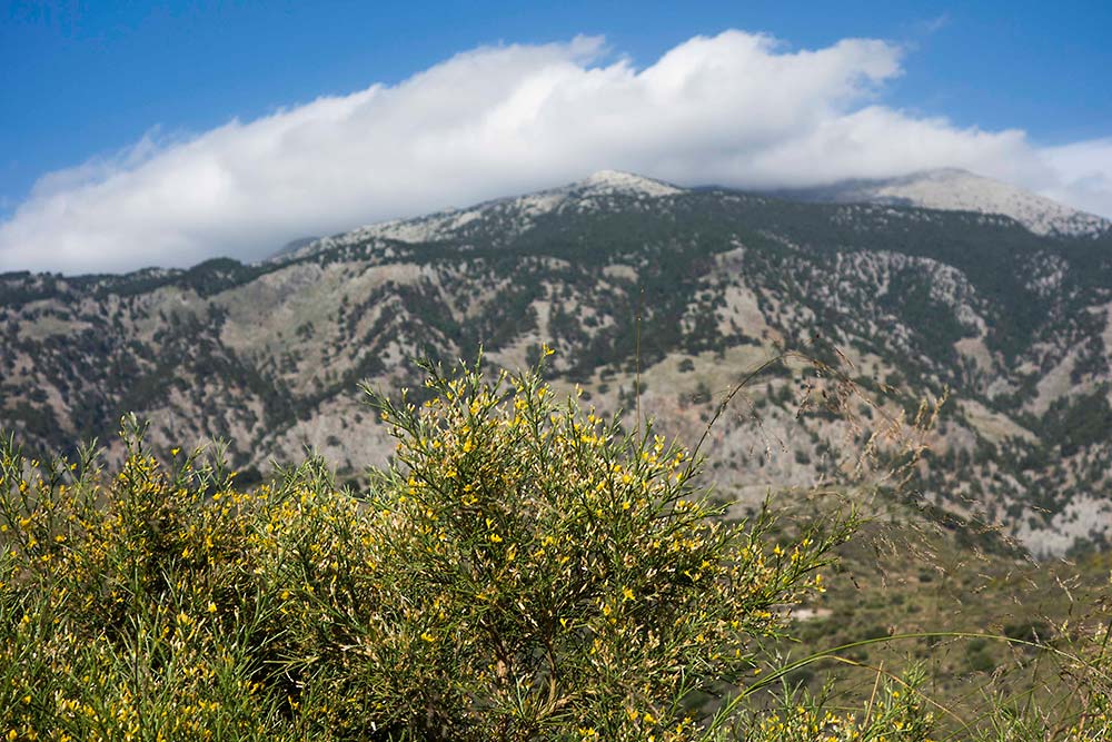 julian, konczak, photography, crete, the pursuit of paradise