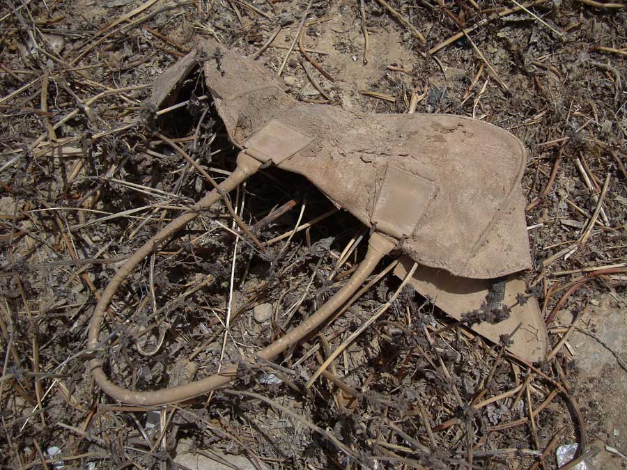 SNAPSHOTS FROM THE END OF TIME